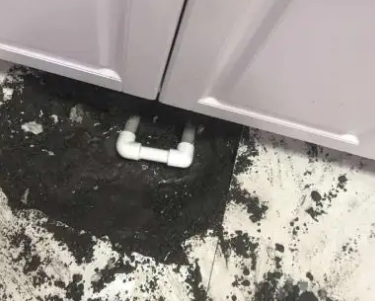 正蓝旗查漏水哪家好